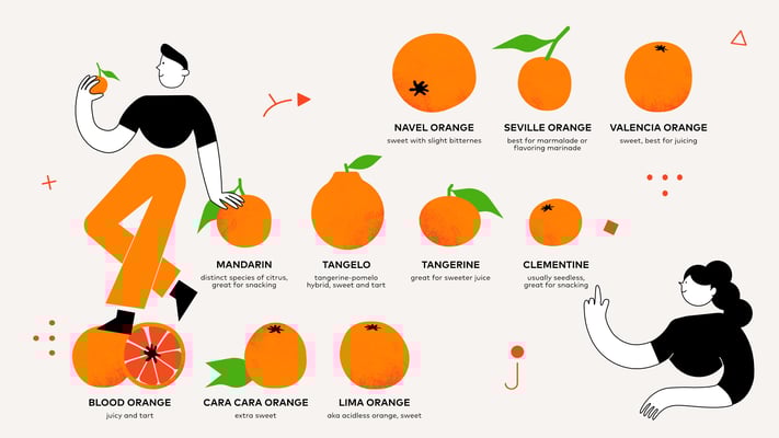 controlled substance analogue citrus metaphor