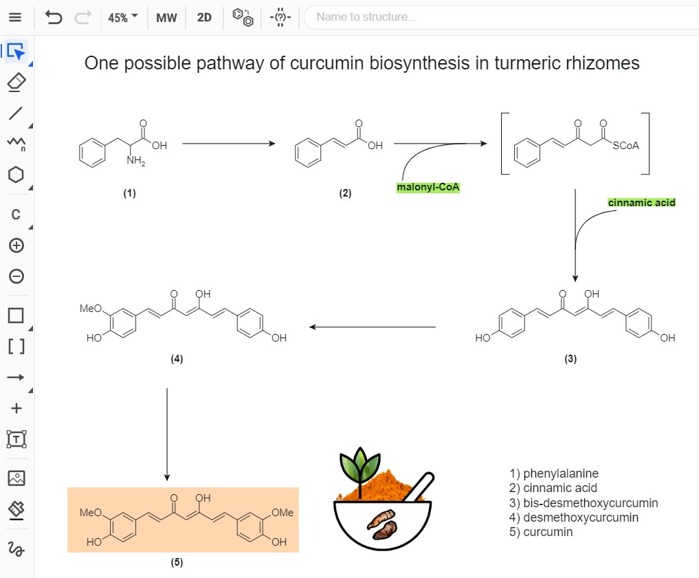 curcumin